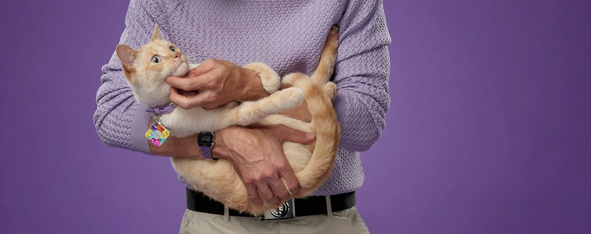 Tile for felines: How often do cats get lost and how can you track