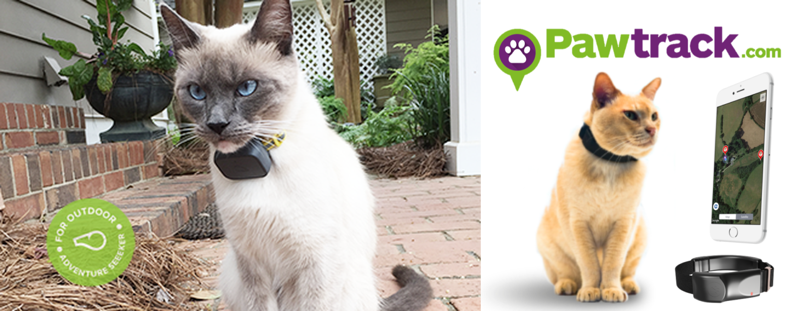 Pawtrack gps hot sale cat collar