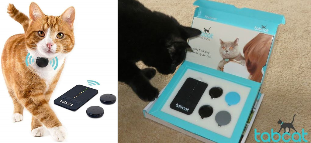 Findster cat tracker best sale